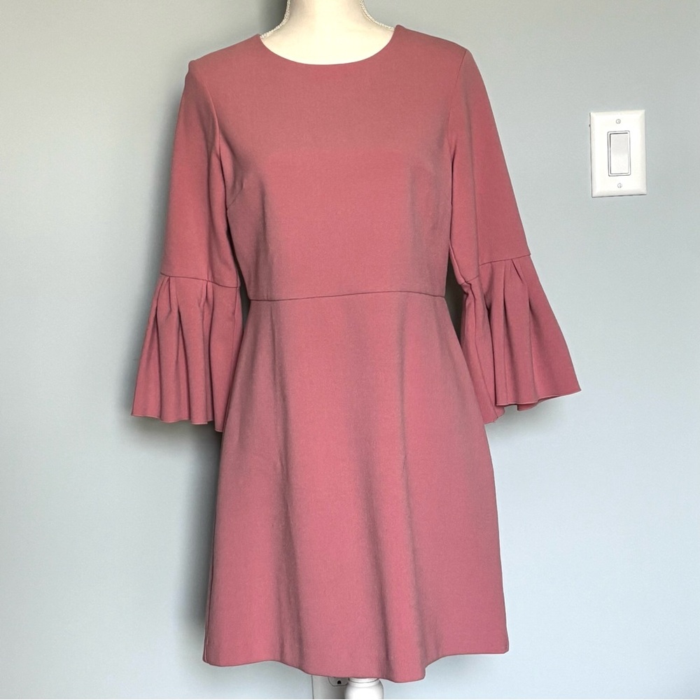 Ann Taylor Pink 3/4 Ruffle Pleated Sleeves A-Line Dress Size 6P Holiday Party